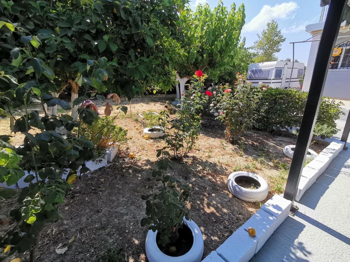 Green Garden Caravan Hotel Agrilia Exterior photo
